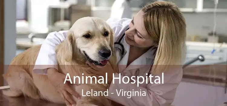 Animal Hospital Leland - Virginia
