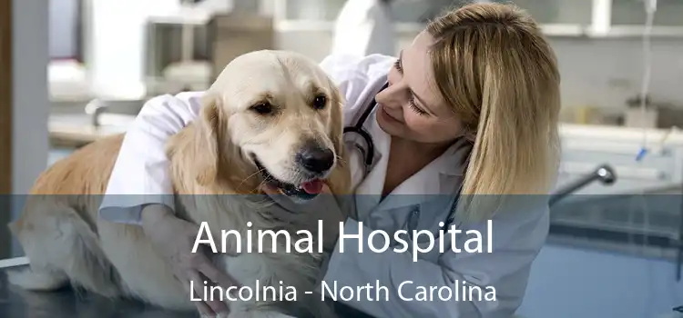 Animal Hospital Lincolnia - North Carolina