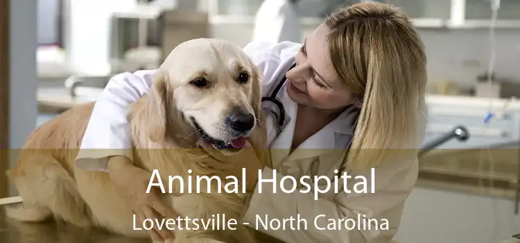 Animal Hospital Lovettsville - North Carolina