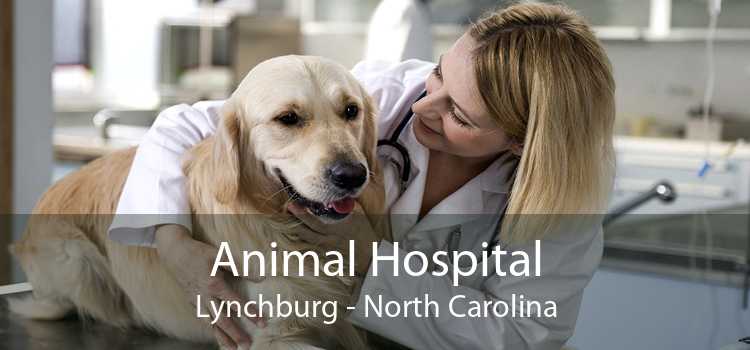 Animal Hospital Lynchburg - North Carolina