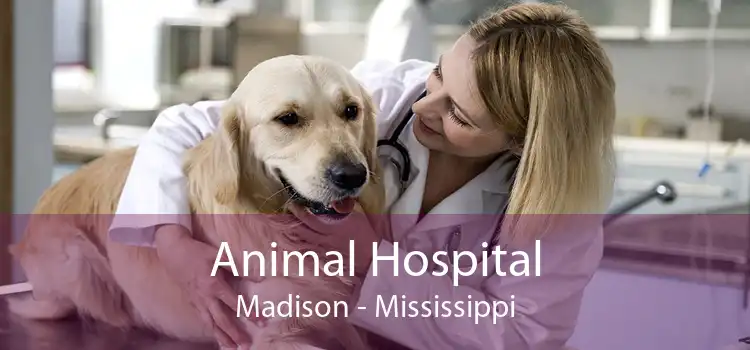 Animal Hospital Madison - Mississippi