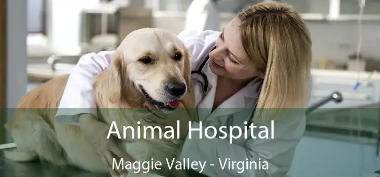 Animal Hospital Maggie Valley - Virginia