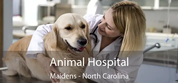 Animal Hospital Maidens - North Carolina