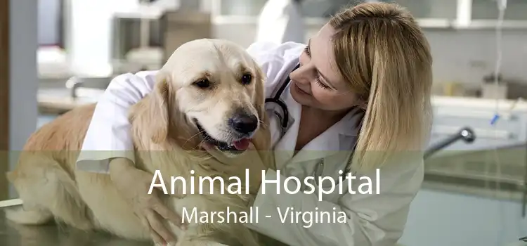 Animal Hospital Marshall - Virginia