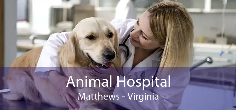 Animal Hospital Matthews - Virginia