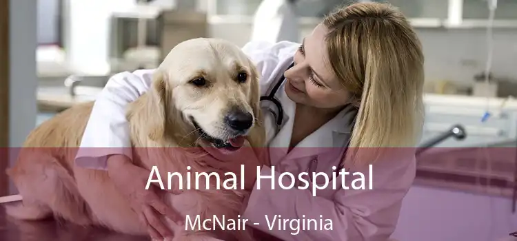 Animal Hospital McNair - Virginia