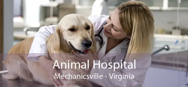 Animal Hospital Mechanicsville - Virginia