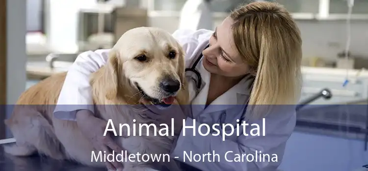 Animal Hospital Middletown - North Carolina