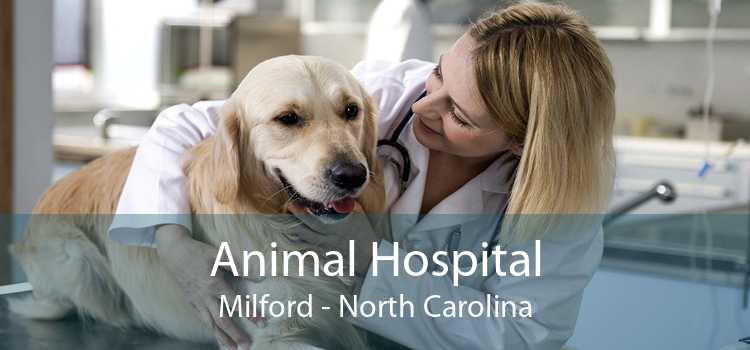 Animal Hospital Milford - North Carolina