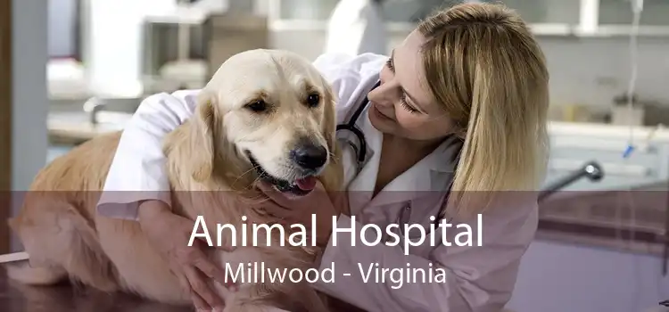 Animal Hospital Millwood - Virginia