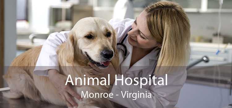 Animal Hospital Monroe - Virginia