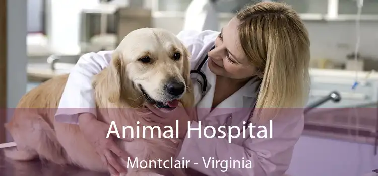 Animal Hospital Montclair - Virginia