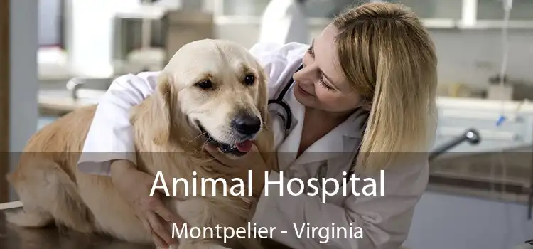 Animal Hospital Montpelier - Virginia