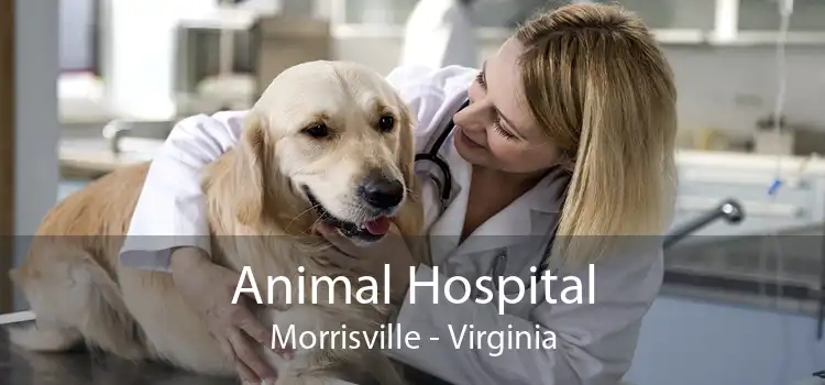 Animal Hospital Morrisville - Virginia