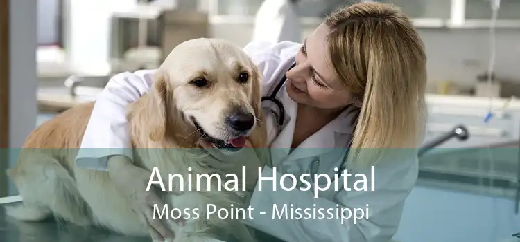 Animal Hospital Moss Point - Mississippi