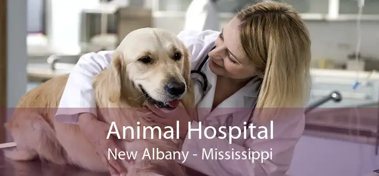 Animal Hospital New Albany - Mississippi