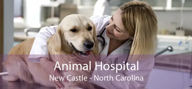 Animal Hospital New Castle - North Carolina