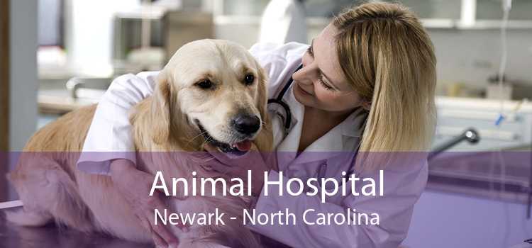 Animal Hospital Newark - North Carolina