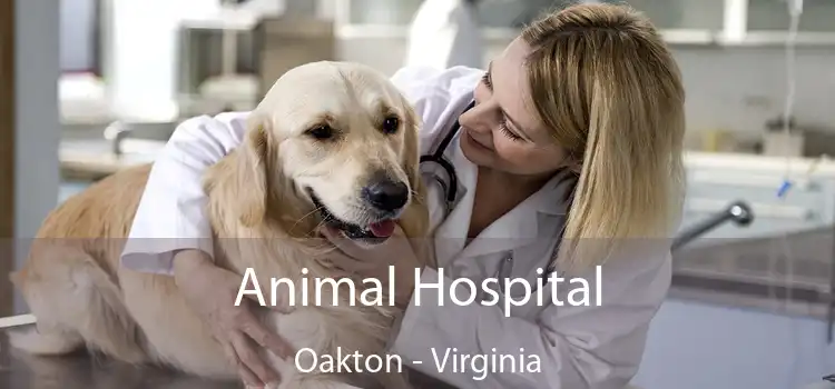 Animal Hospital Oakton - Virginia