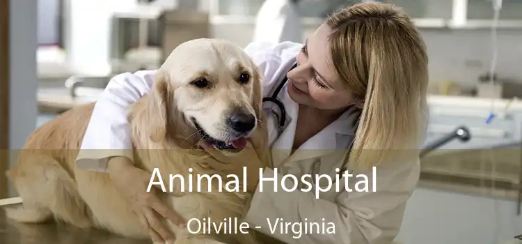 Animal Hospital Oilville - Virginia