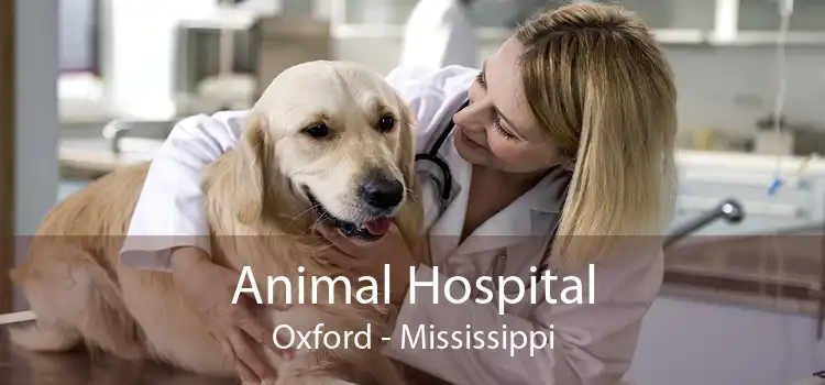 Animal Hospital Oxford - Mississippi