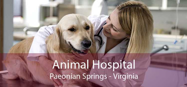 Animal Hospital Paeonian Springs - Virginia