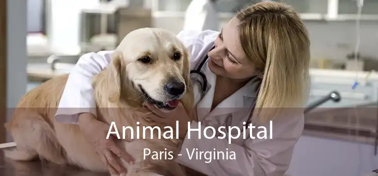 Animal Hospital Paris - Virginia
