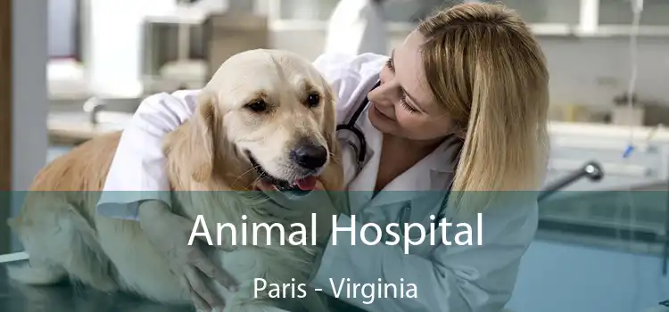 Animal Hospital Paris - Virginia