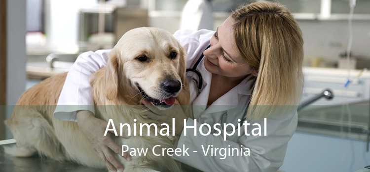 Animal Hospital Paw Creek - Virginia
