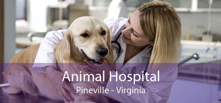 Animal Hospital Pineville - Virginia