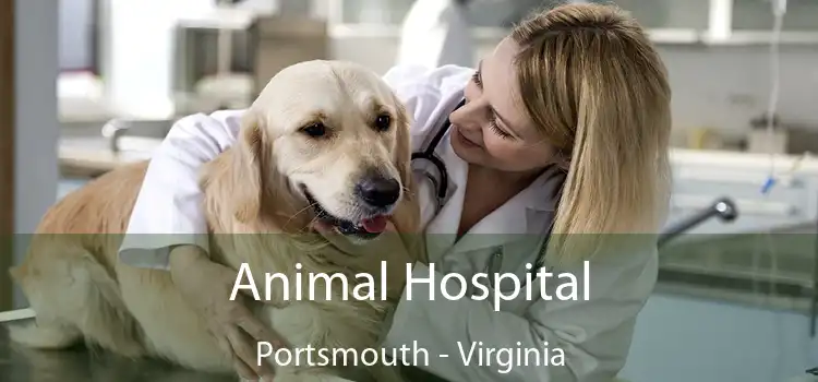 Animal Hospital Portsmouth - Virginia