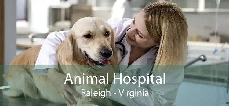 Animal Hospital Raleigh - Virginia