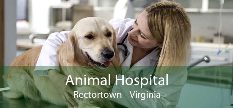 Animal Hospital Rectortown - Virginia