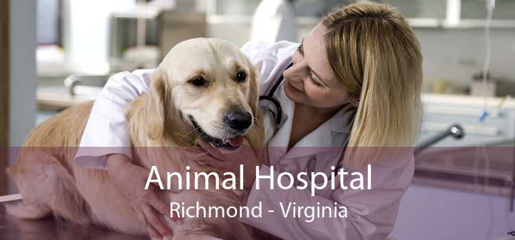 Animal Hospital Richmond - Virginia