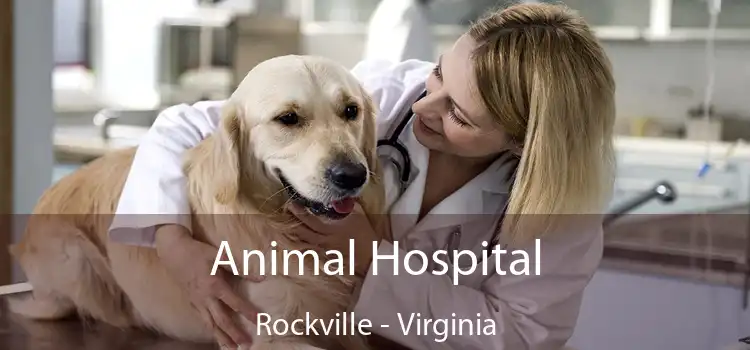 Animal Hospital Rockville - Virginia