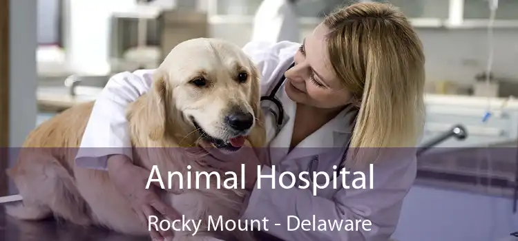 Animal Hospital Rocky Mount - Delaware