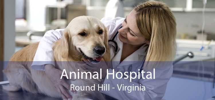 Animal Hospital Round Hill - Virginia