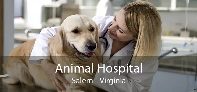 Animal Hospital Salem - Virginia