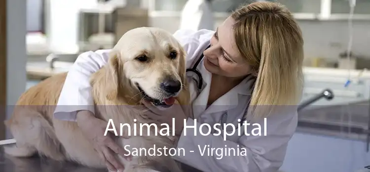 Animal Hospital Sandston - Virginia