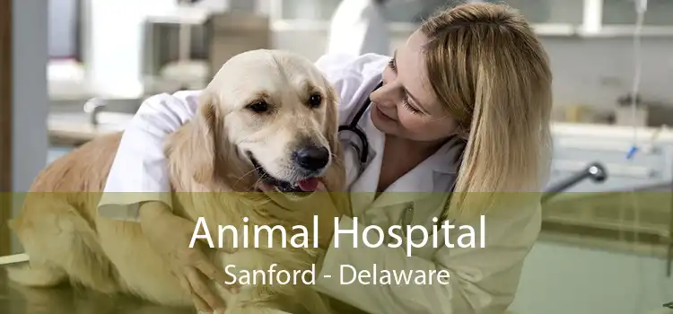 Animal Hospital Sanford - Delaware