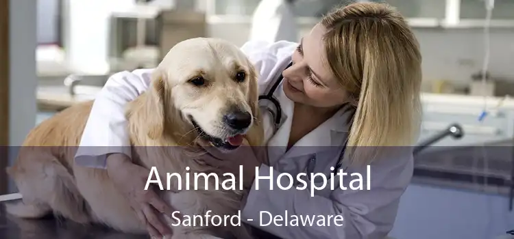 Animal Hospital Sanford - Delaware