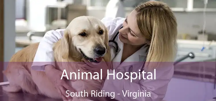 Animal Hospital South Riding - Virginia