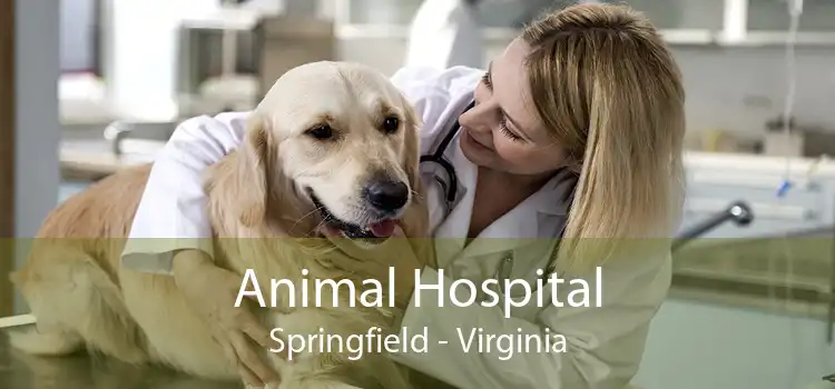 Animal Hospital Springfield - Virginia