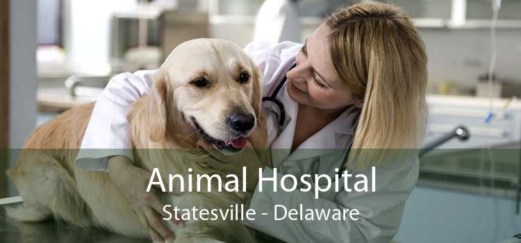 Animal Hospital Statesville - Delaware