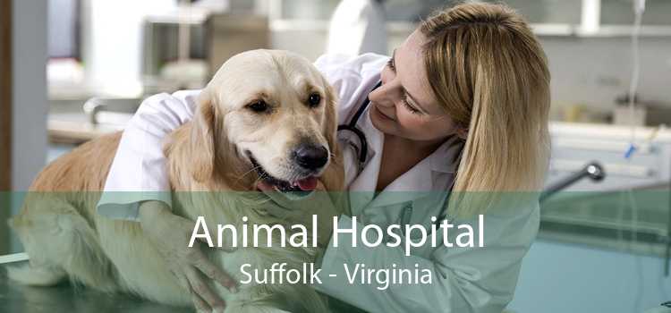 Animal Hospital Suffolk - Virginia