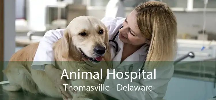 Animal Hospital Thomasville - Delaware