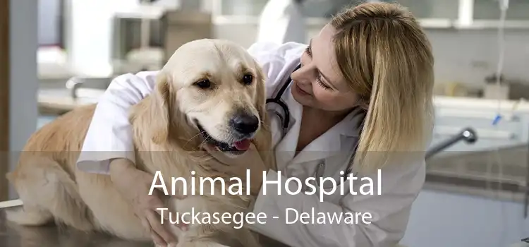 Animal Hospital Tuckasegee - Delaware