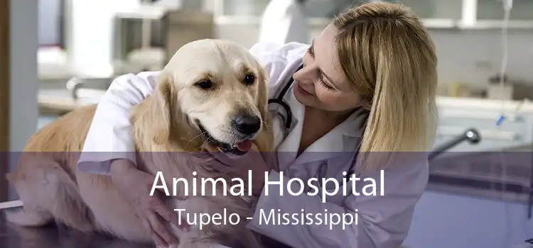 Animal Hospital Tupelo - Mississippi