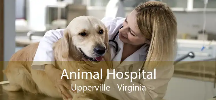 Animal Hospital Upperville - Virginia