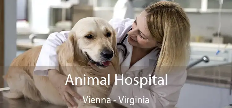 Animal Hospital Vienna - Virginia